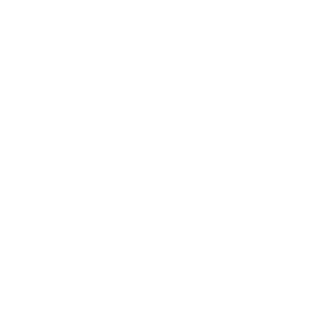 Northdale Middle School logo